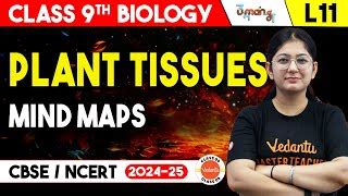 Class Plant Tissues Mind Maps Cbse Biology Umang Cbse Vedantu