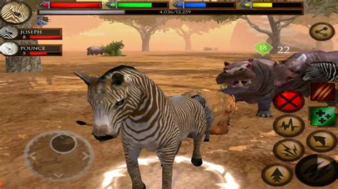 🦓baby Zebra Horse Survival Simulator African Savanna Is A Dangerous