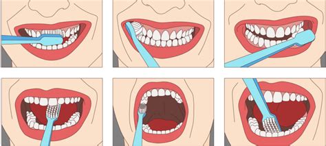 brush  teeth properly polaris dental