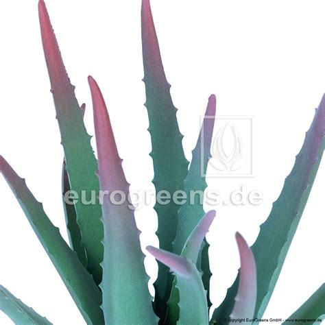 künstliche Aloe Vera ca 40cm getopft