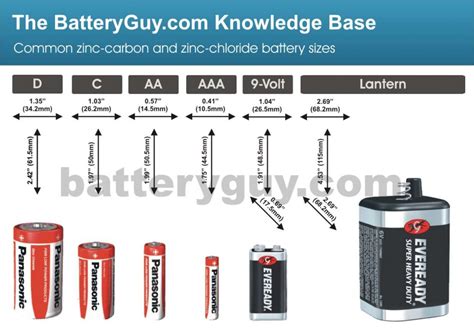 Double A Battery Dimensions At Joseph Byrd Blog