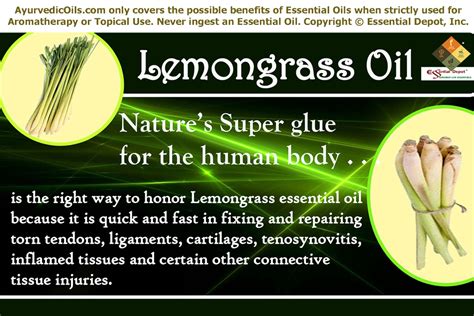 Chemical Constituents Of Lemongrass Oil Essential Oil