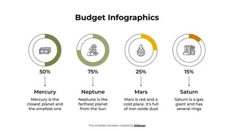 Budget Infographics Template