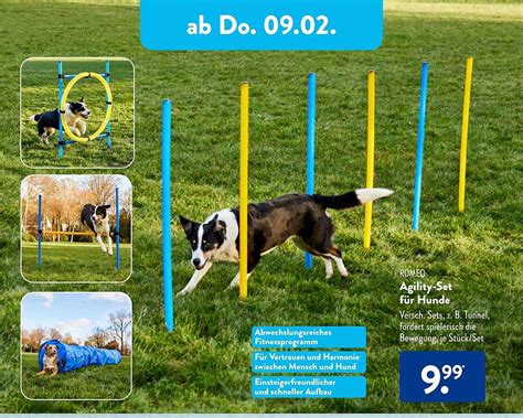 Romeo Agility Set F R Hunde Angebot Bei Aldi Sud