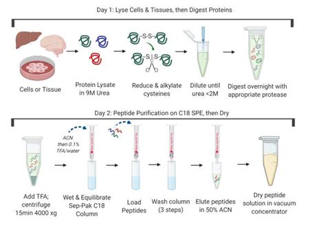 Ptmscan Hs Symmetric Di Methyl Arginine Motif Sdme Rg Kit Cell