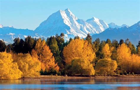 New Zealand Seasons New Zealand Travel Blog