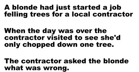 A Florida Officer Pulls Over An Years Old Blonde Woman Wake Up Your Mind