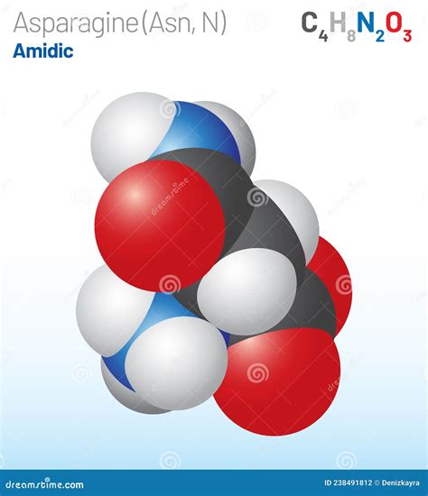 Asparagine Asn C H N O Amino Acid Structural Chemical Formula