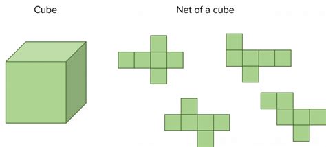 Nets And Surface Area Mme