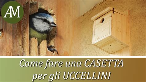 Come Costruire Una Casetta Per Uccelli Da Esterno Guida Pratica