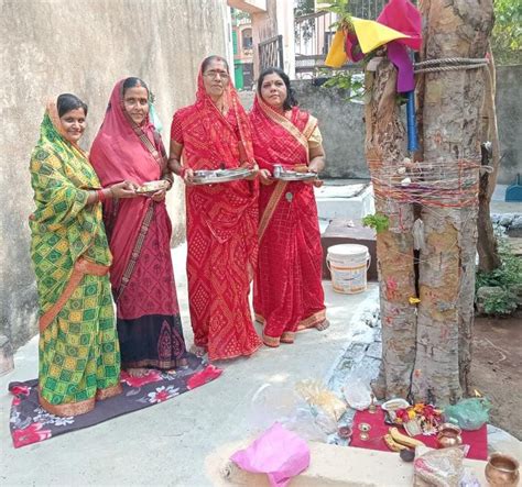 Women Celebrated The Festival Of Amla Navami