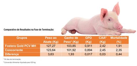 Zoetis Estudo Mostra Que Fostera Gold Pcv Mh Promove Maior