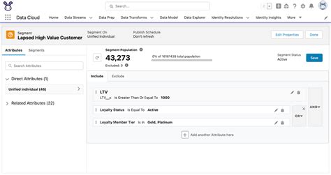 Lessons Learned During Salesforce Data Cloud Implementation The Spot