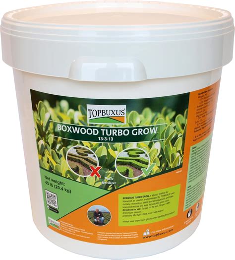 Amazon TOPBUXUS Boxwood Turbo Grow Professional Boxwood