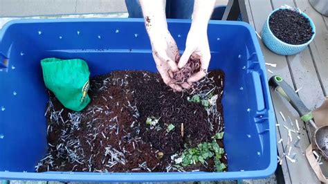 Vermicomposting How To Create Maintain A Simple Worm Bin