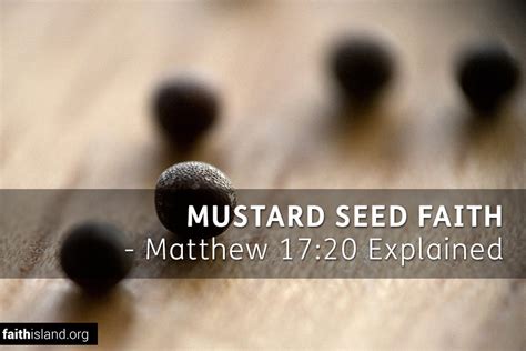 Mustard Seed Faith - Matthew 17:20 Explained | Faith Island