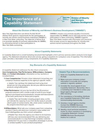 40 SAMPLE Capability Statements In PDF MS Word