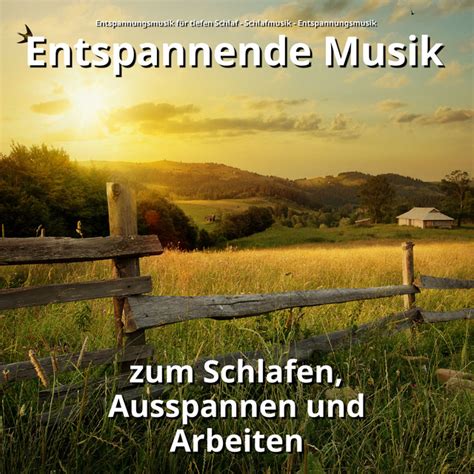 Ruhige Musik für Wellness song and lyrics by Entspannungsmusik für