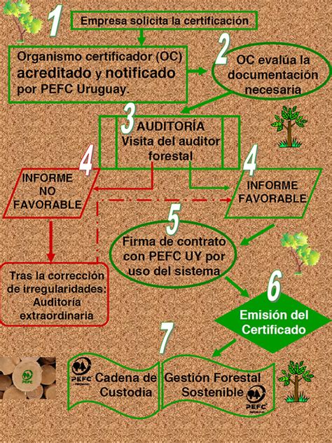 Pefc Gestión Forestal Sostenible