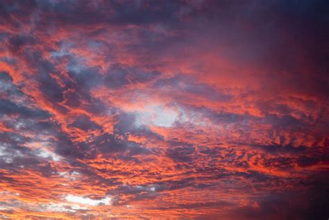 Free Image Of Atmospheric Colorful Pink Sunset Freebie Photography