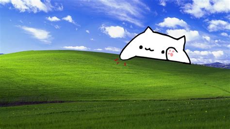 Bongo Cat Live Wallpaper Windows XP YouTube