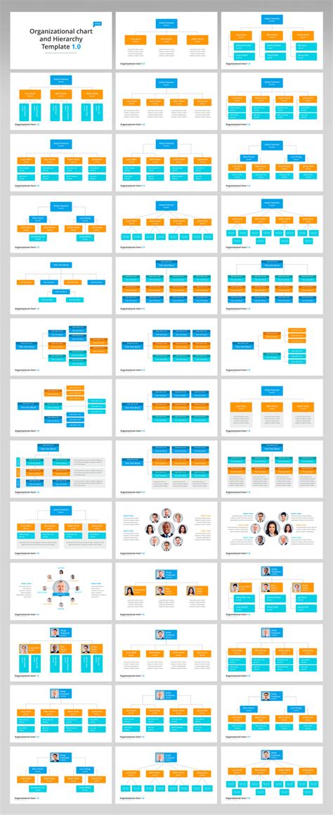 Organizational Chart & Hierarchy - PowerPoint template