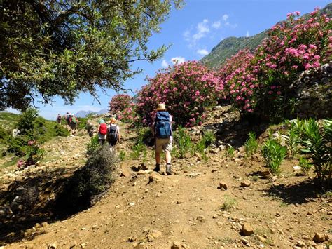 Albanien Vom Shkodrasee Zur Riviera Wandern Und Genuss