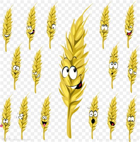 Wheat Cartoon Drawing Stock Illustration, PNG, 1001x1024px, Wheat, Cartoon, Commodity, Drawing ...