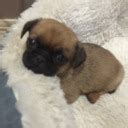 Hey There Hot Tea On Tumblr