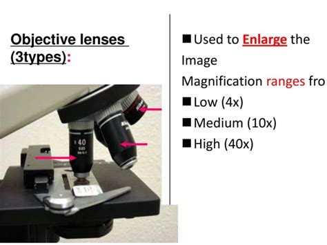 What is the Objective Lenses on a Microscope Used for? Learn about its ...