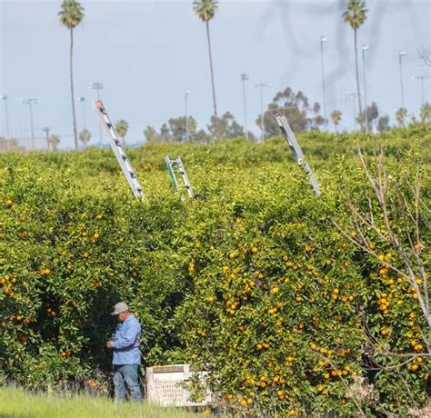 California Citrus State Historic Park Ports Program