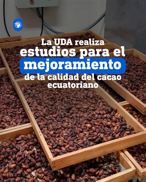 Diario El Mercurio On Twitter El Cacao De Ecuador Altamente Valorado Por Sus Características