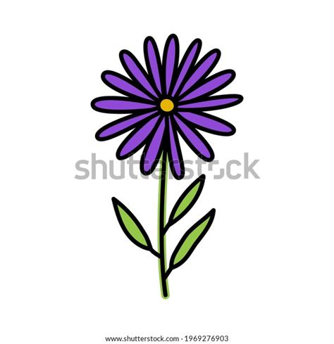 Aster Doodle Flower Stem Leaf Vector Stock Vector Royalty Free