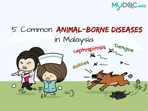 [Infographic] 5 Common Animal-Borne Diseases in Malaysia and How to ...