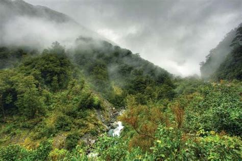 Why Are Rainforests So Important Conservation Carbon Sequestration