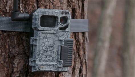 5 BEST Cellular Trail Cameras Affordable In 2024