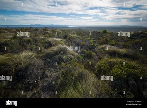 Agulhas National Park protects fynbos habitat and offers hiking trails ...