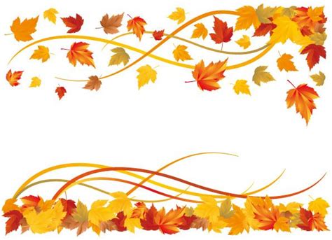 an image of autumn leaves on white background