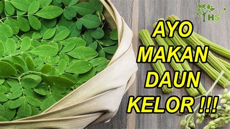 5 Manfaat Daun Kelor Untuk Kesehatan Bisa Meningkatkan Kekebalan