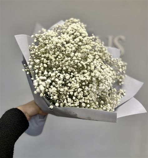 Букет из гипсофилы, артикул F1247055 - 3262 рублей, доставка по городу ...