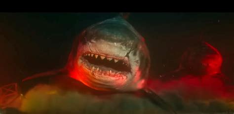 Megalodon Shark Still Alive Proof