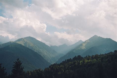 Free Images Tree Nature Forest Wilderness Cloud Sky Mist