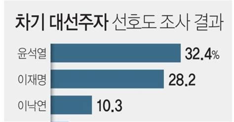 그래픽 차기 대선주자 선호도 조사 결과