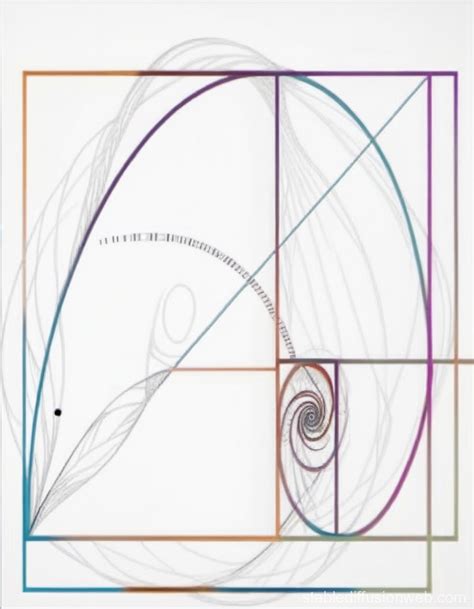 fibonacci pattern Prompts | Stable Diffusion Online