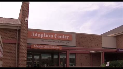 Franklin County Dog Shelter resumes adoptions after distemper exposure ...