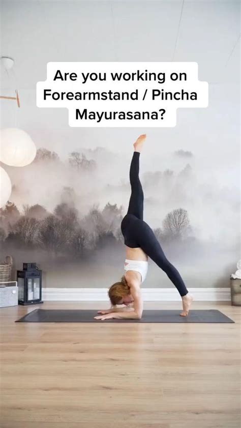 Forearmstand Yoga Tutorial How To Pincha Mayurasana Learn Forearm