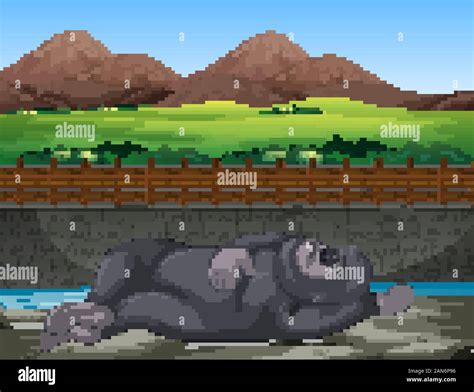 Scene with gorilla sleeping at the zoo illustration Stock Vector Image ...