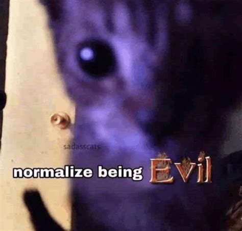 Normalize Being Evil Cat Meme Meme Normalize Being Evil Evil Cat Meme