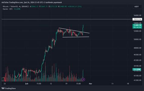 Kripto Balinalar Bitcoin Topluyor Btc Y Kseliyor Te Son Veriler