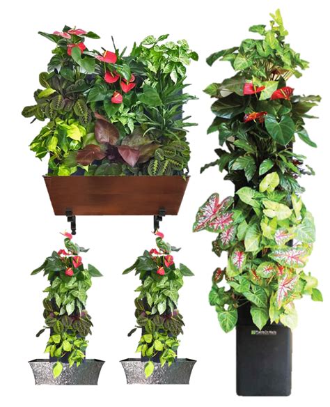 20 Vertical Garden PNG Ideas For This Year SharonSable